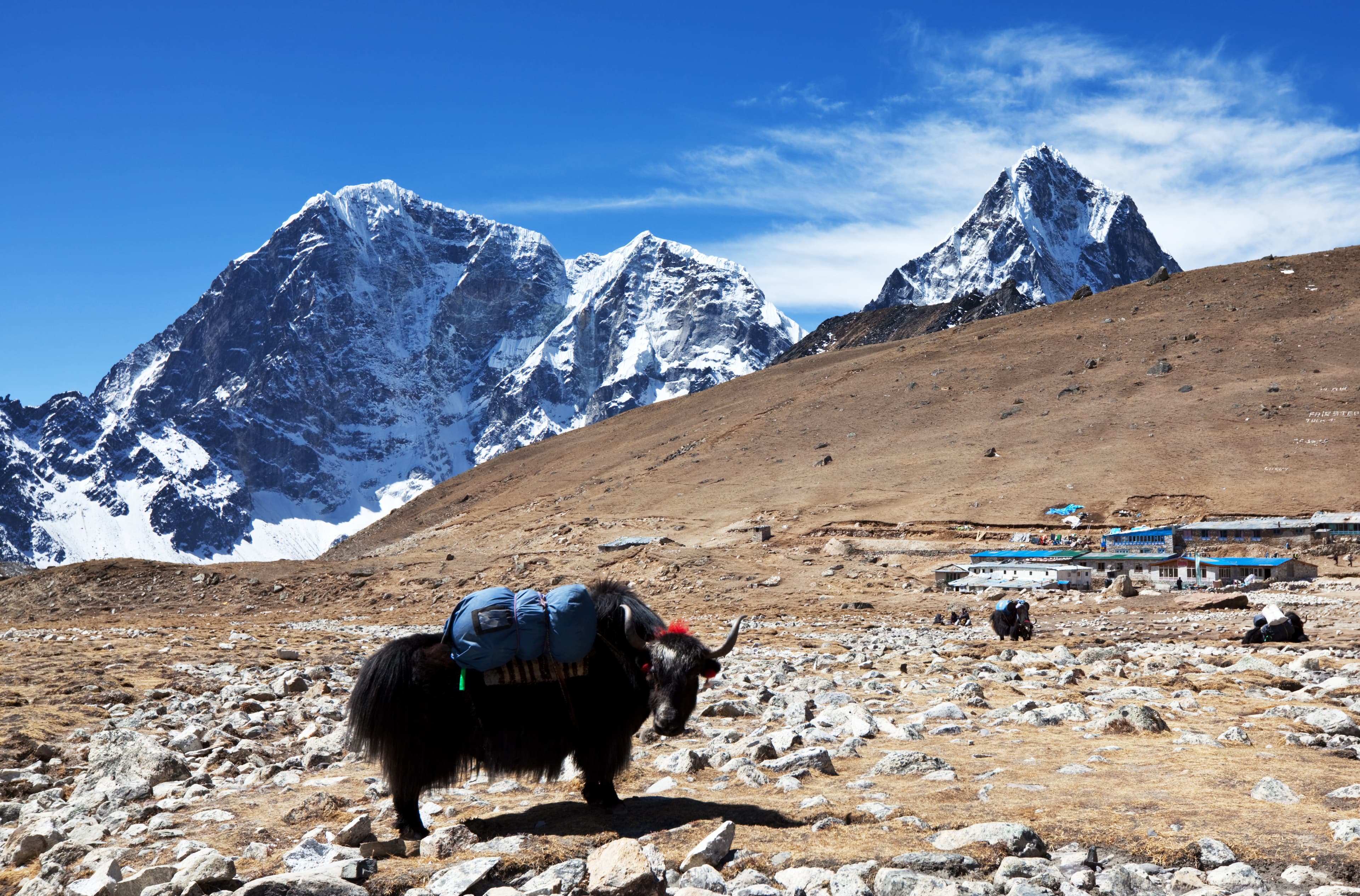 Himalayan Terrain landscape