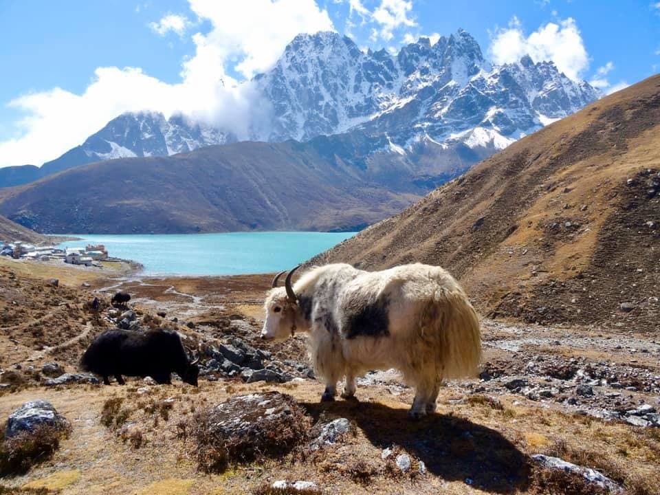 Gokyo Lakes Journey (17 Days)